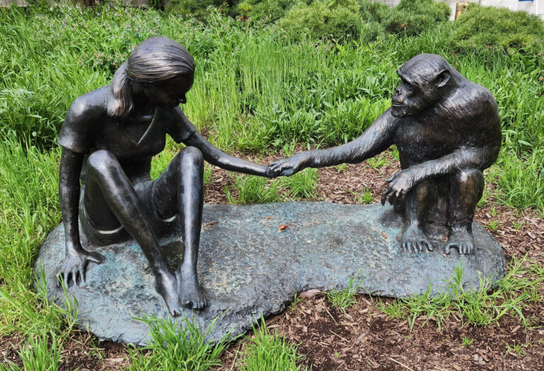 In Memoriam: A Tribute to Jane Goodall